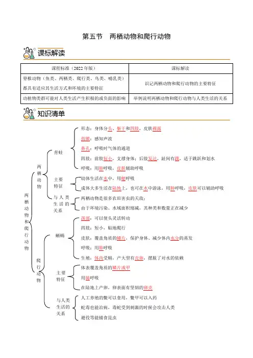 第五节  两栖动物和爬行动物(教师版)-八年级上册精品讲义