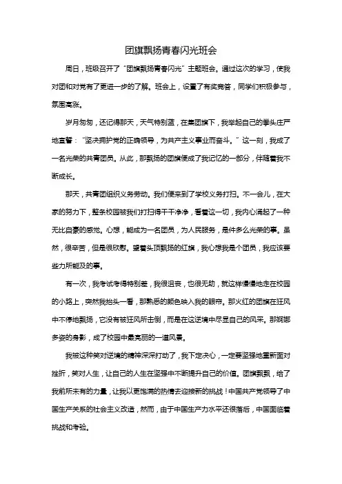 团旗飘扬青春闪光班会