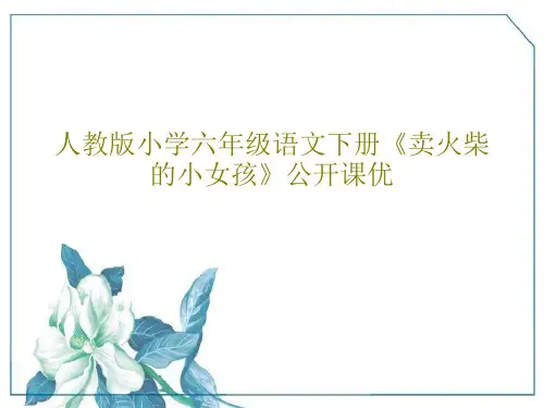 人教版小学六年级语文下册《卖火柴的小女孩》公开课优共43页文档