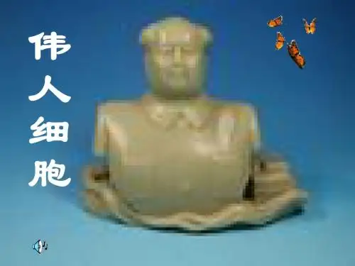 初中语文《伟人细胞》(共23张)ppt19
