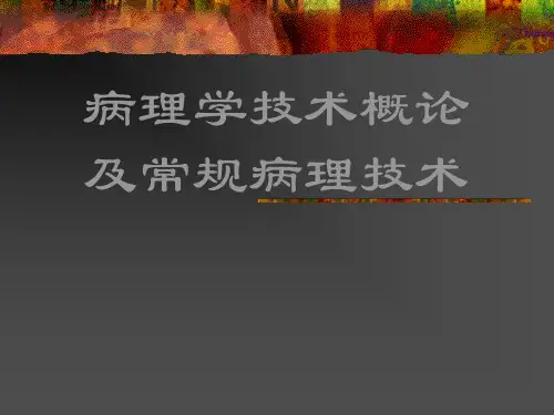 常规病理学技术