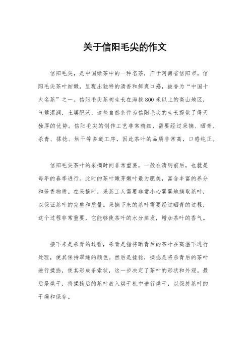 关于信阳毛尖的作文