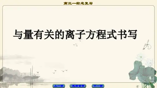 高考化学二轮复习-与量有关的离子方程式书写PPT课件