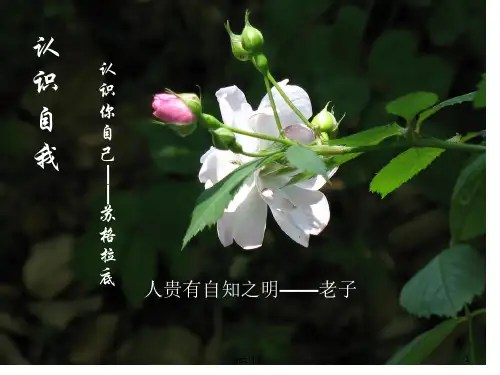 认识自我(心理健康教育第1课)  ppt课件