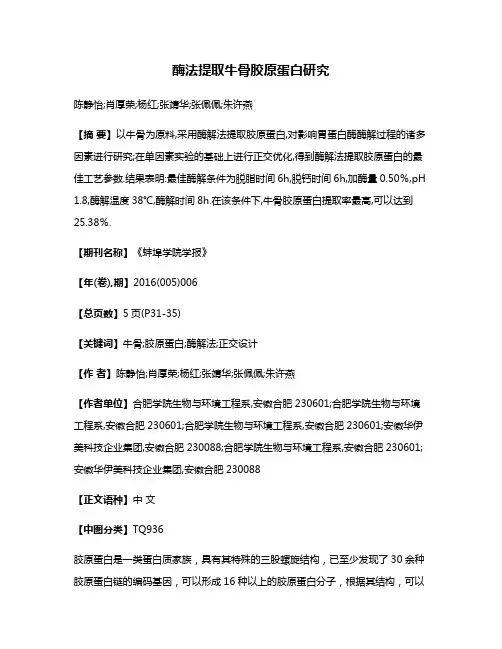 酶法提取牛骨胶原蛋白研究
