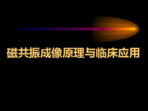 磁共振原理和临床应用(一) 