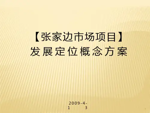 雅居乐张家边市场项目PPT课件