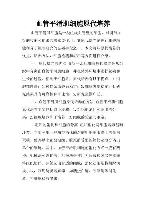 血管平滑肌细胞原代培养