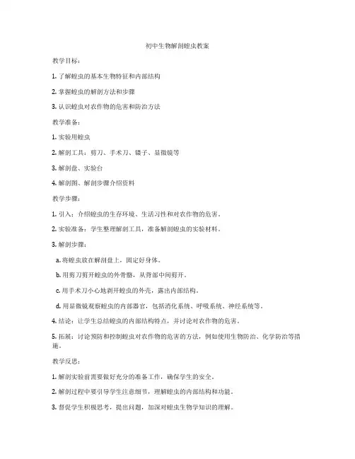 初中生物解剖蝗虫教案