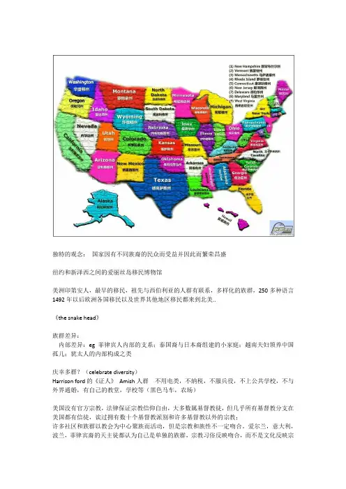美国的族群和族群问题