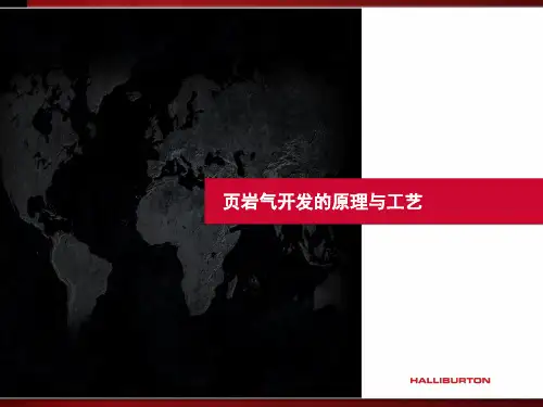 页岩气开发的原理与工艺2