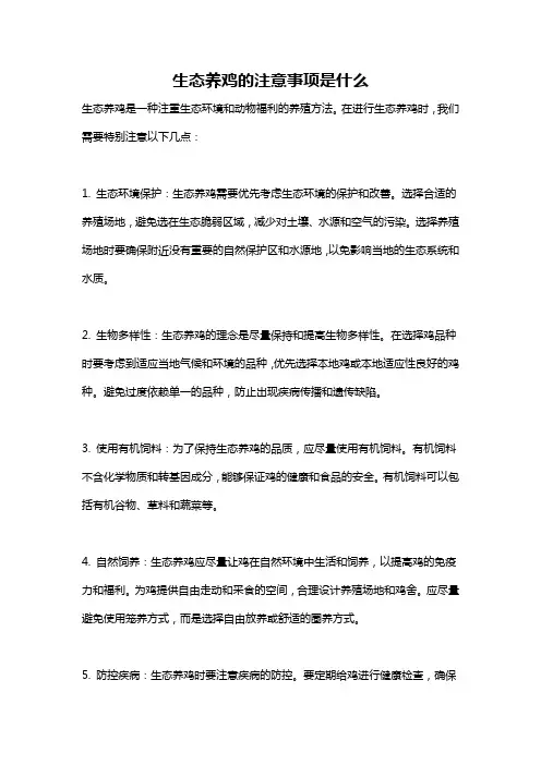 生态养鸡的注意事项是什么