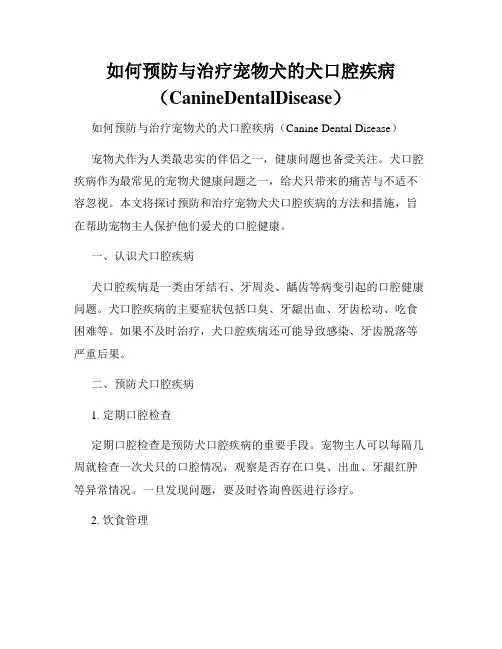 如何预防与治疗宠物犬的犬口腔疾病(CanineDentalDisease)