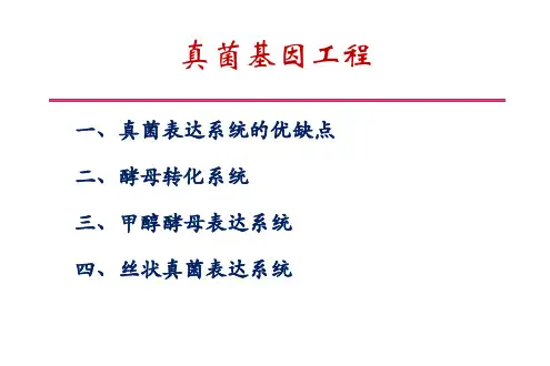 第八章酵母基因工程详解