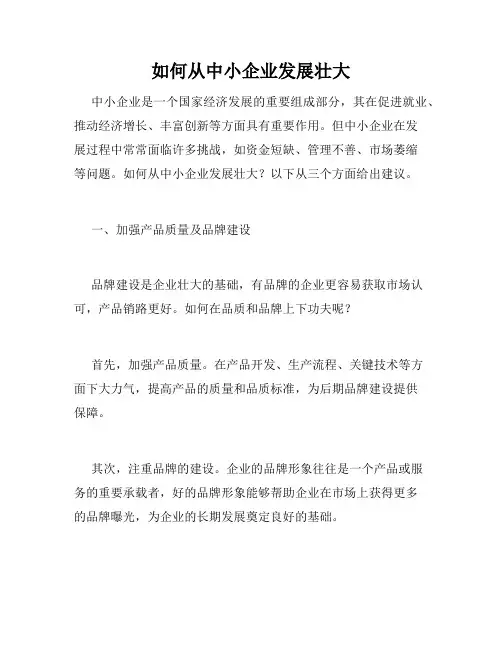 如何从中小企业发展壮大