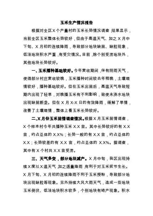 玉米生产情况报告
