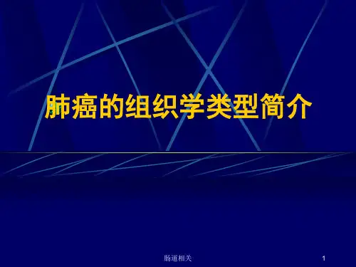 肺癌分类简介【治疗】