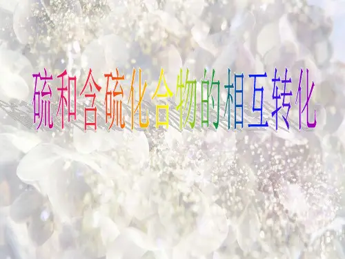 硫和含硫化合物的相互转化PPT精品课件