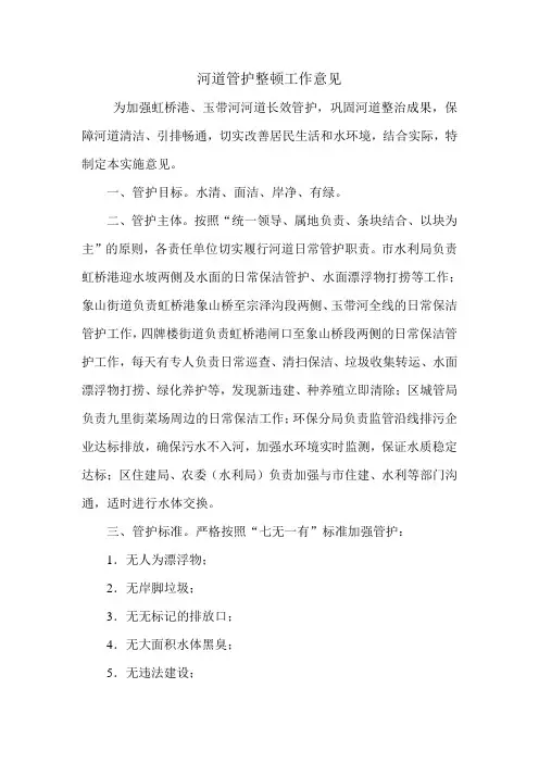 河道管护整顿工作意见.doc