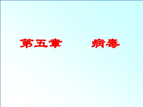 人教版八年级生物上册第五单元第五章 病毒 (共21张PPT)