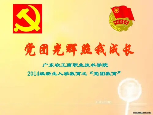 党团教育