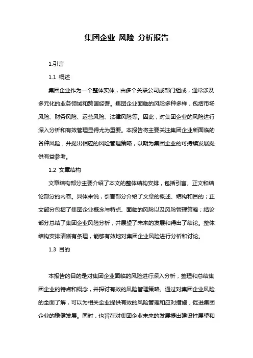 集团企业 风险 分析报告