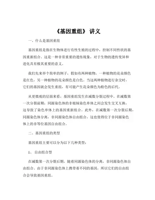 《基因重组》 讲义