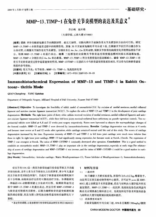 MMP-13、TIMP-1在兔骨关节炎模型的表达及其意义