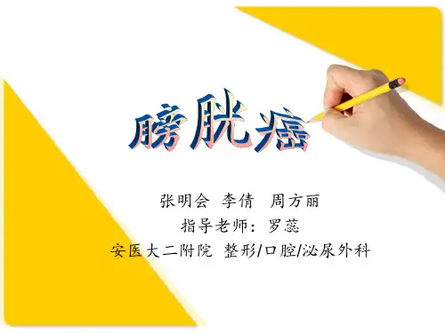 膀胱癌 PPT课件