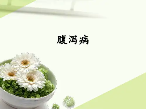 儿科学腹泻病