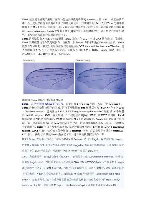 Notch 信号