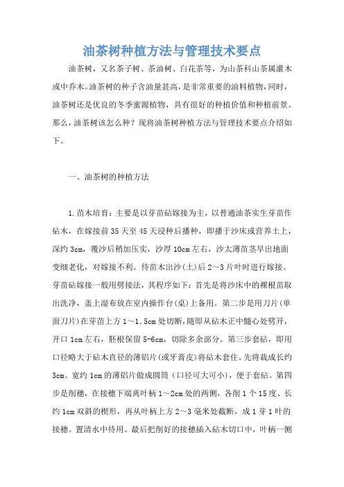 油茶树种植方法与管理技术要点