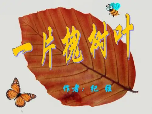 20178syw22《一片槐树叶》课件
