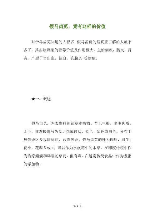 假马齿苋,竟有这样的价值