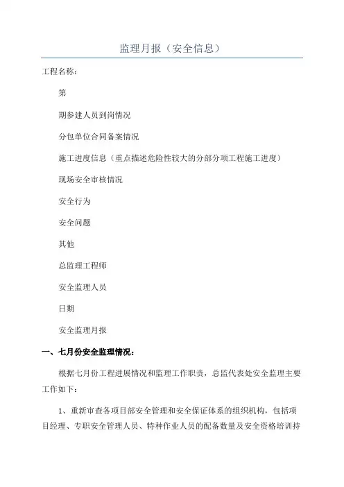 监理月报(安全信息)