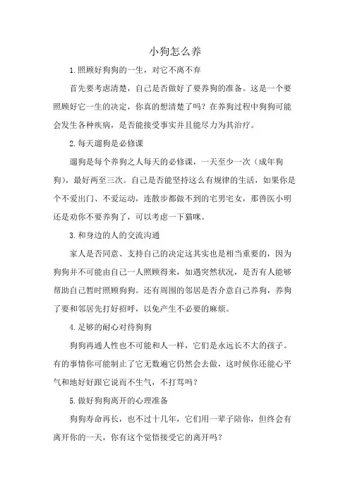 小狗怎么养