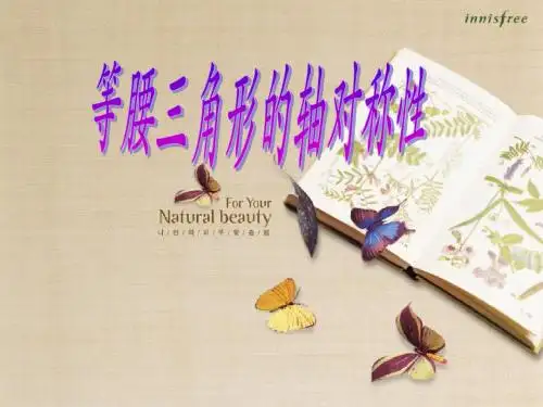 2.5 等腰三角形的轴对称性 课件(苏科版八年级上册) (4)