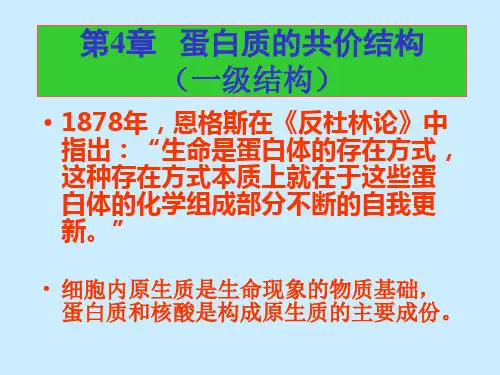 蛋白质的共价结构