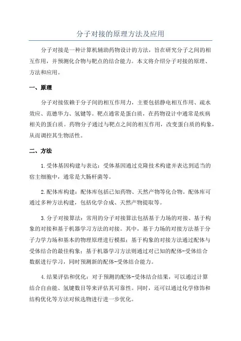分子对接的原理方法及应用