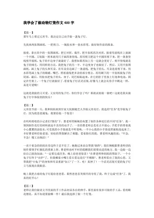 我学会了做动物灯笼作文400字