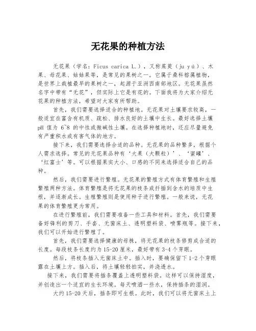 无花果的种植方法