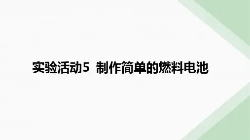 9 实验活动5 制作简单的燃料电池