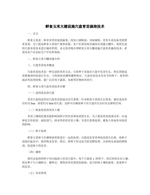 鲜食玉米大棚设施穴盘育苗栽培技术