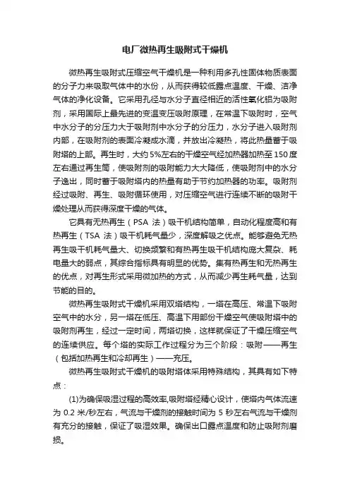 电厂微热再生吸附式干燥机