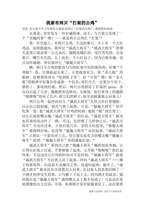 我家有两只“打架的公鸡”_六年级作文