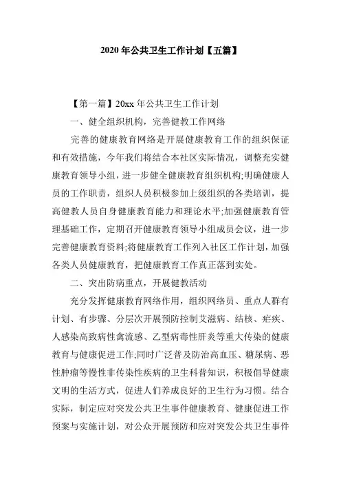 2020年公共卫生工作计划【五篇】