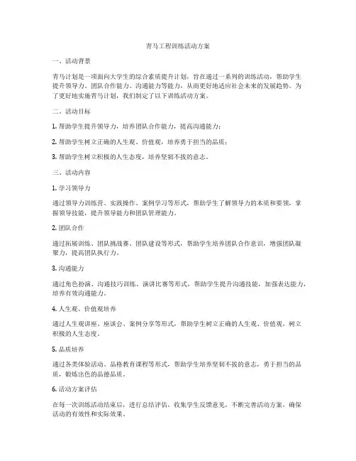 青马工程训练活动方案