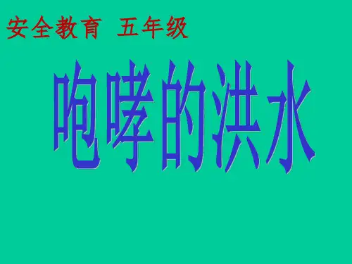 五年级安全教育课件-预防和应对洪水中自救 全国通用(共23张PPT)