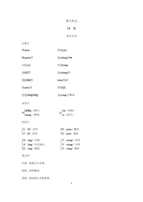 2023-2024学年人教部编版初中语文七年级上册课本知识点16 猫