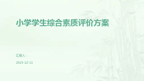 小学学生综合素质评价方案